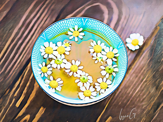 German Chamomile Seeds