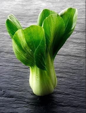 Canton Pak Choi Heirloom Cabbage Seeds