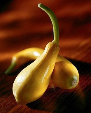 Early Prolific Straightneck Heirloom Summer Squash Seeds