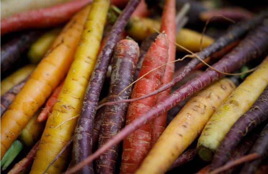 Rainbow Blend Heirloom Carrot Seeds