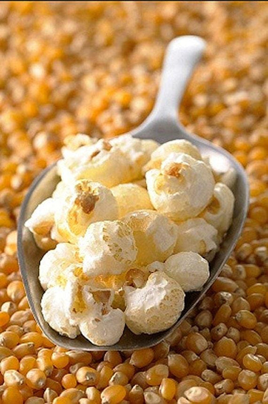 Ladyfingers Heirloom Popcorn Seeds