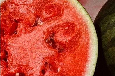 Crimson Sweet Heirloom Watermelon Seeds