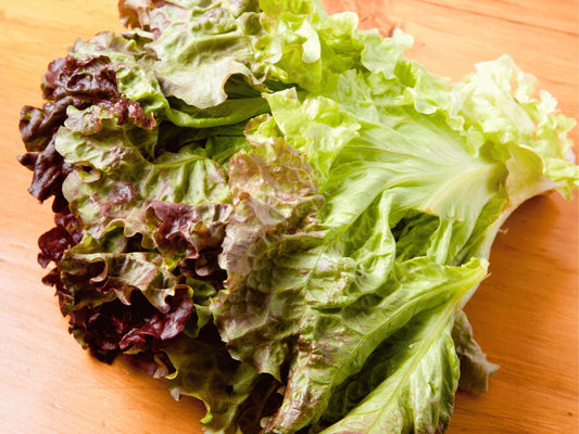 Ruby Red Heirloom Leaf Lettuce Seeds