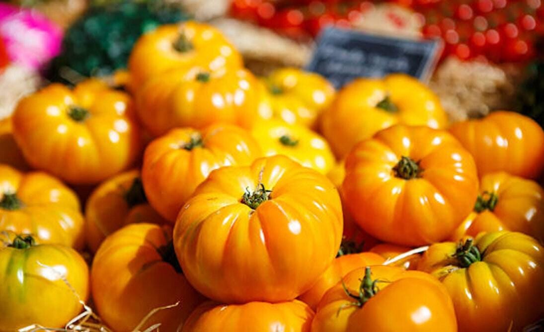 Amana Orange Heirloom Tomato Seeds