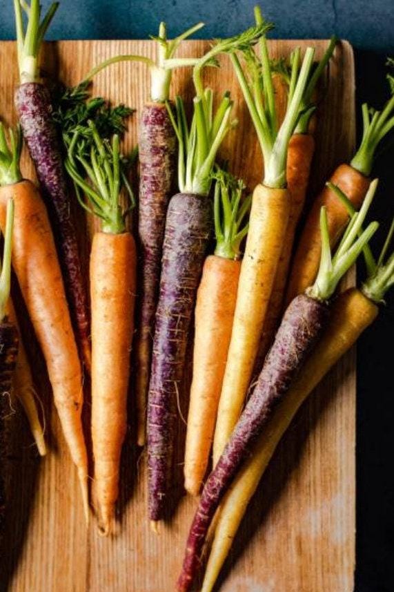 Rainbow Blend Heirloom Carrot Seeds