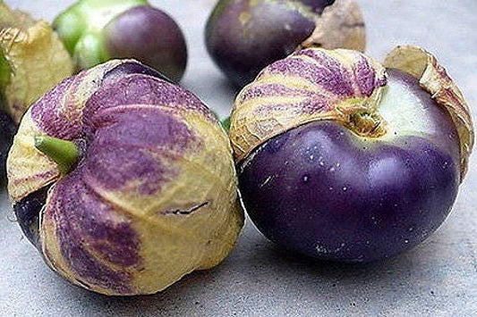 Purple Tomatillo Heirloom Seeds