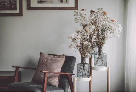 White Western Yarrow Heirloom Seeds