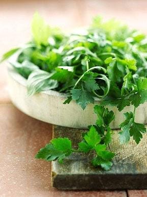 Flat Leaf Italian Parsley Heirloom Seeds