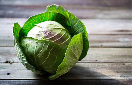 Early Jersey Wakefield Heirloom Cabbage Seeds
