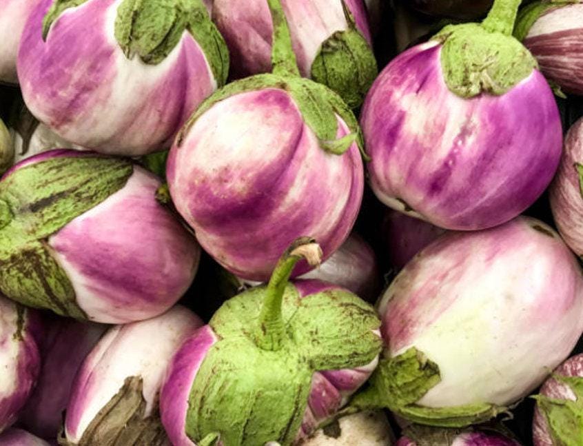 Rosa Bianca Heirloom Eggplant Seeds