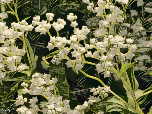 American Feverfew (Wild Quinine) Heirloom Seeds