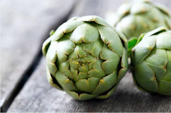 Green Globe Artichoke Heirloom Seeds