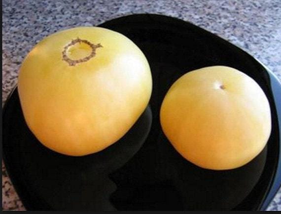 Great White Heirloom Beefsteak Tomato Seeds