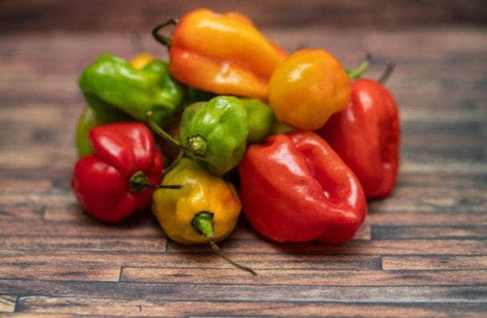 Habanero Heirloom Hot Pepper Seeds