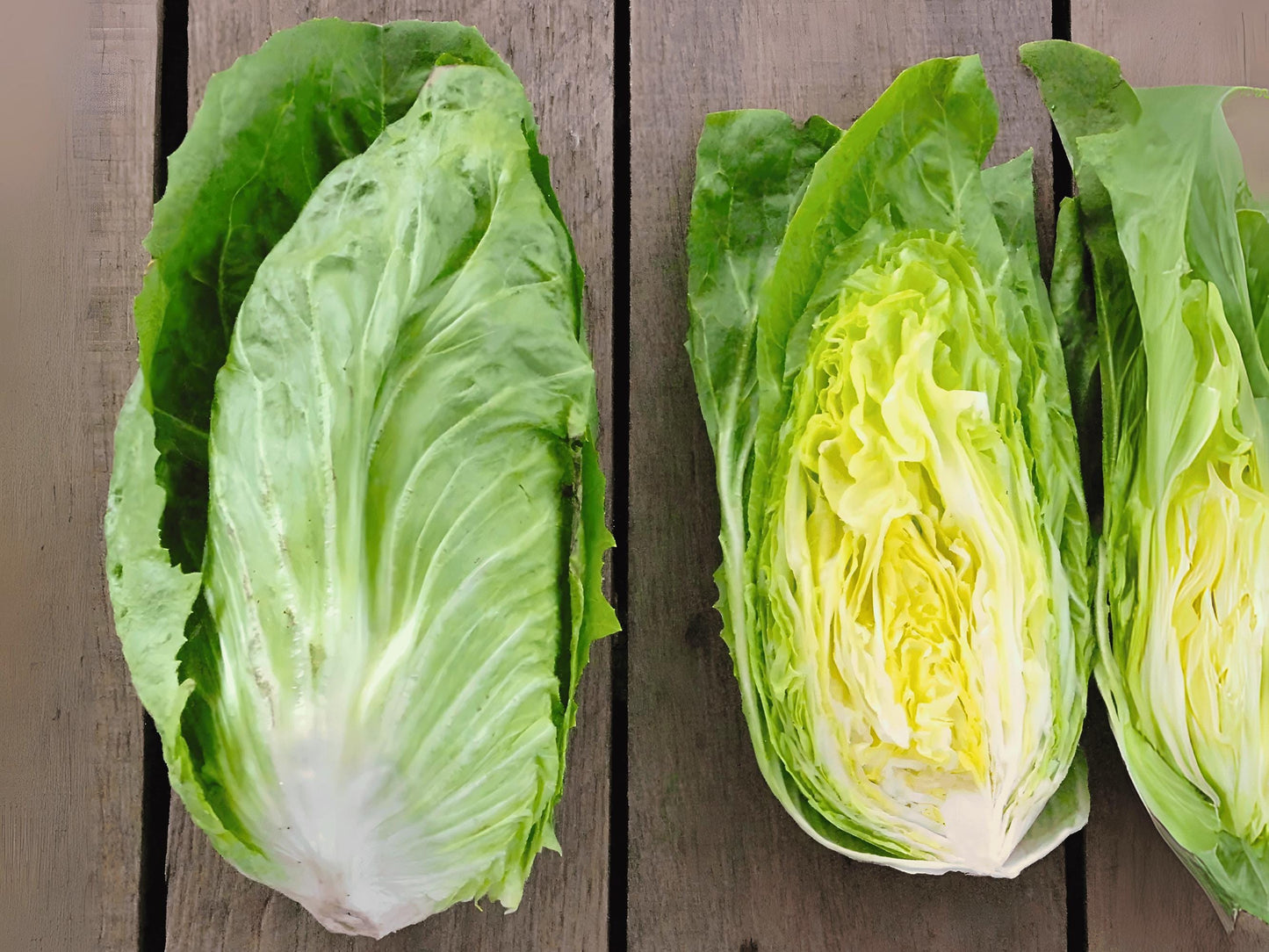 two heads of fresh lettuce on a wooden surface.