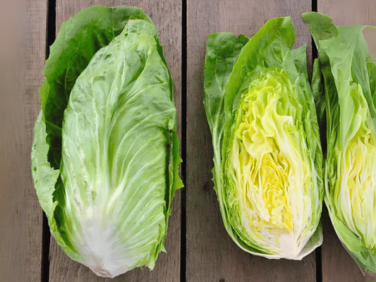 two heads of fresh lettuce on a wooden surface.