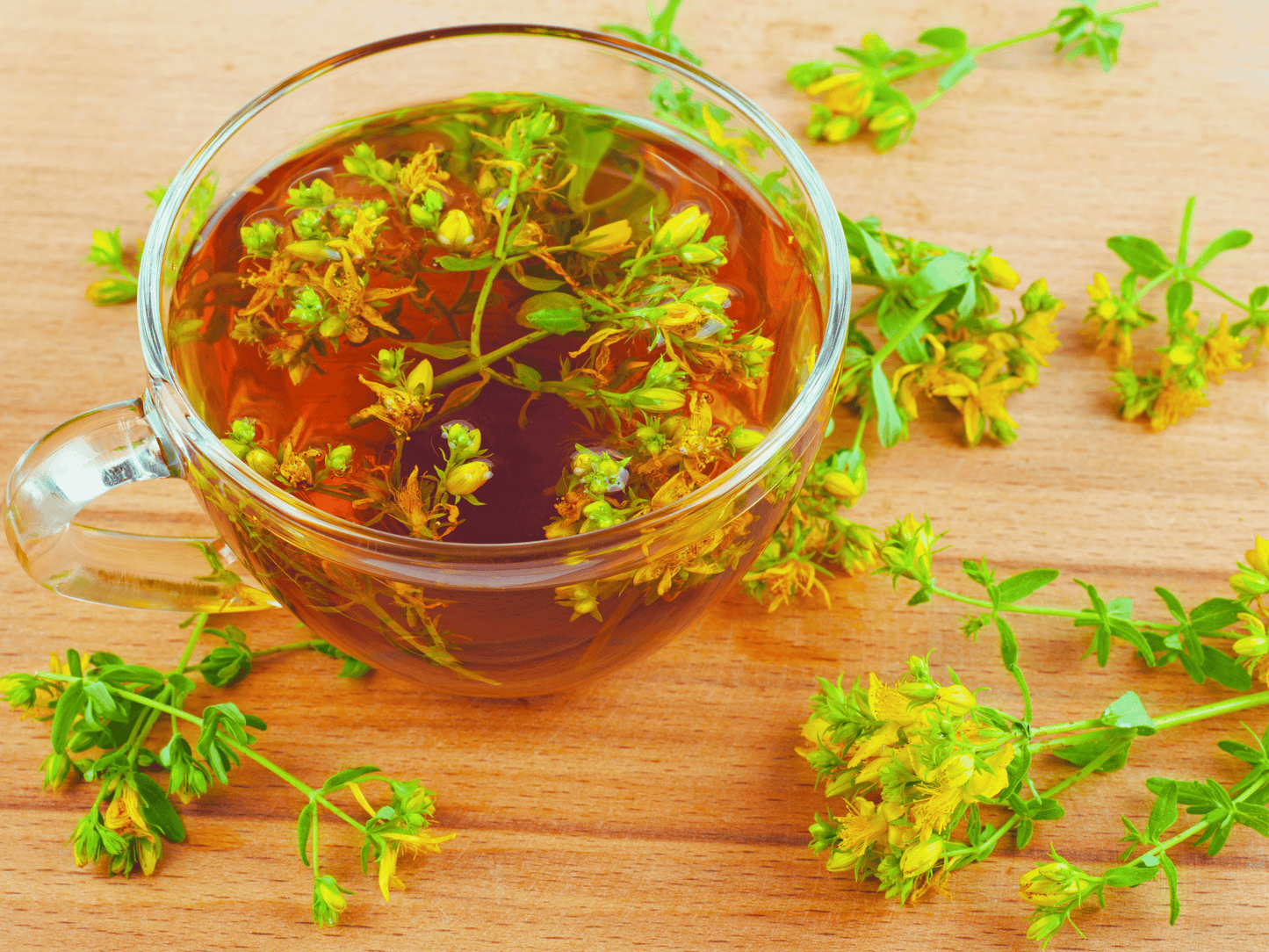 St. John’s Wort Heirloom Seeds