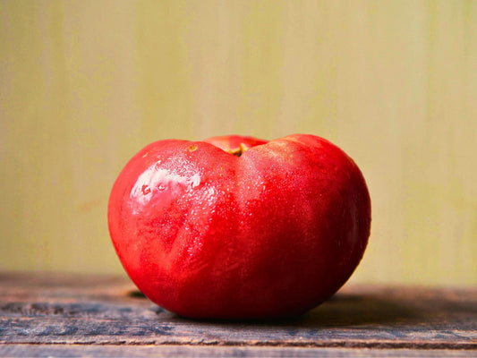 Abe Lincoln Heirloom Tomato Seeds