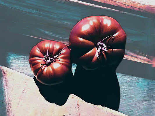 Black Brandywine Heirloom Tomato Seeds