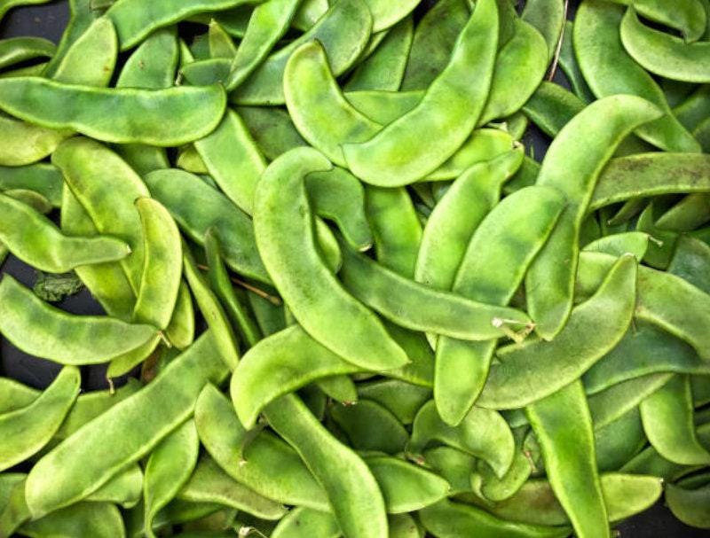 White Dixie Butter Pea Lima Heirloom Seeds