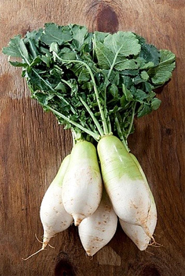 Daikon Radish Seeds | Nimble NiteCap Heirloom Seed Co