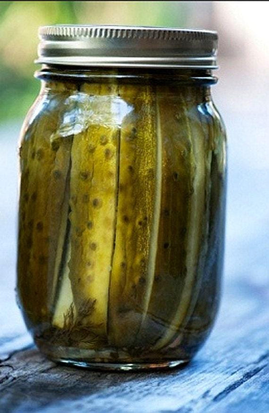 Dukat Dill Heirloom Seeds