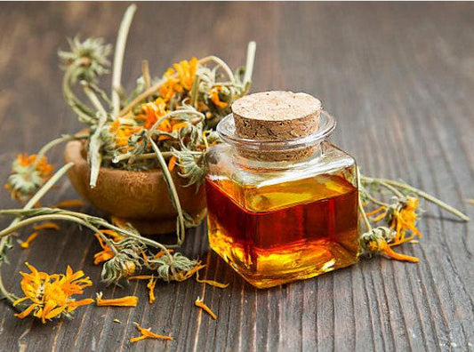 Calendula (Pot Marigold) Heirloom Seeds