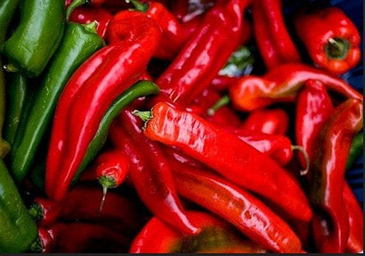 Long Red Cayenne Heirloom Hot Pepper Seeds