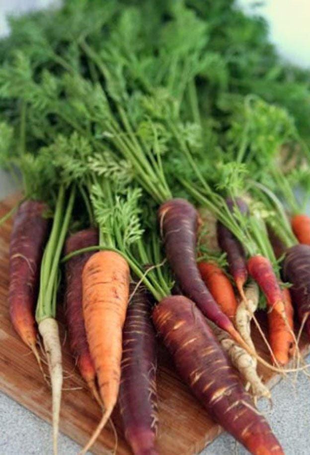 Rainbow Blend Heirloom Carrot Seeds