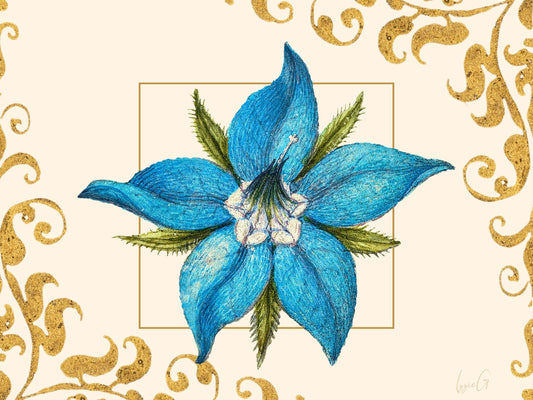 Borage Heirloom Seeds