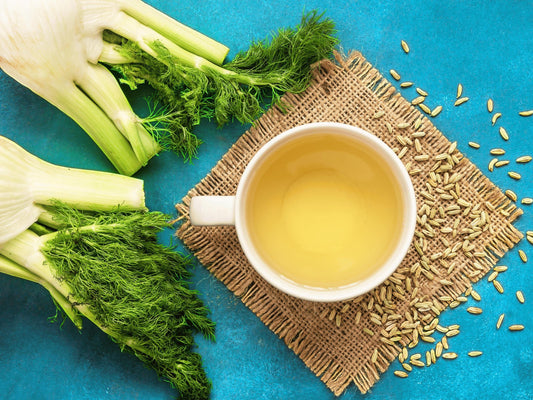 Florence Fennel Heirloom Seeds