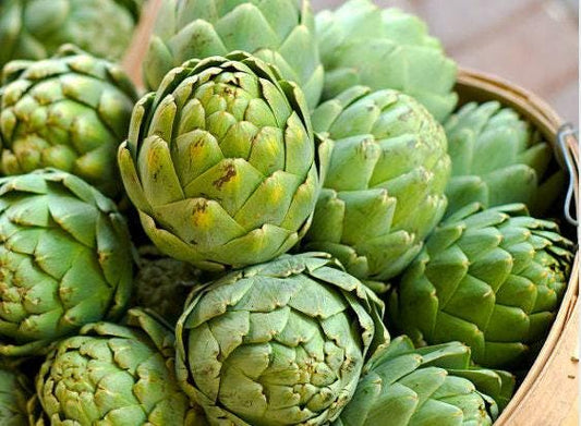 Green Globe Artichoke Heirloom Seeds