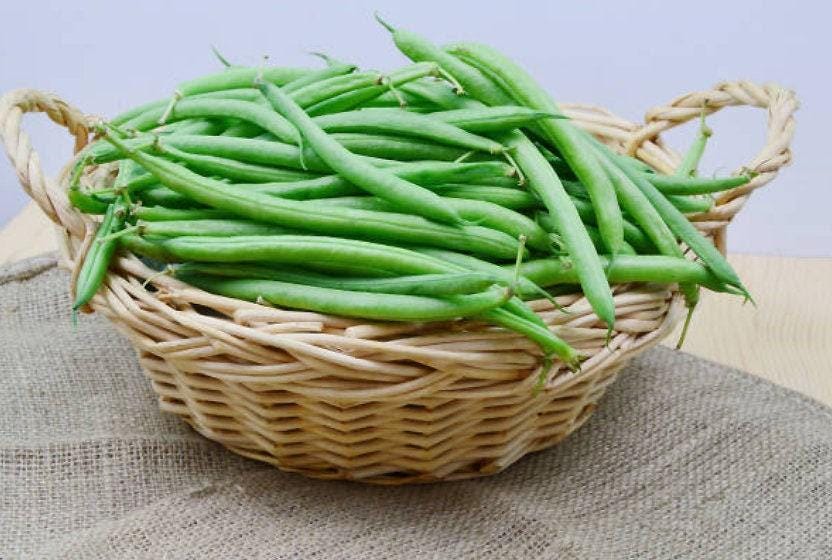 ★　Beans　★ Cut Green Beans 8 oz - Libby's Vegetables