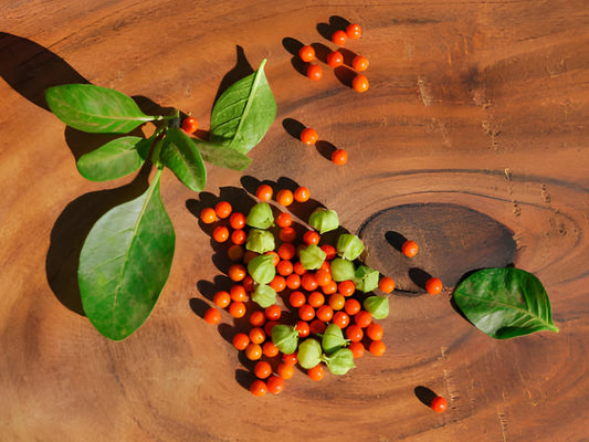 Ashwagandha Heirloom Seeds