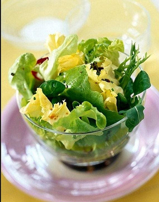 Broadleaf Batavian Endive (Escarole) Heirloom Seeds