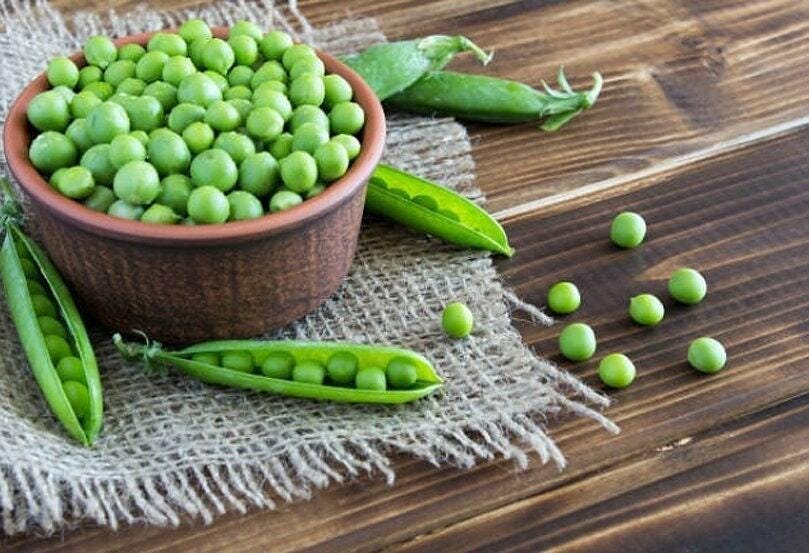 Lincoln Pea (Heirloom, 65 Days) – Pinetree Garden Seeds