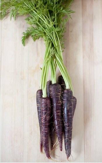 Black Nebula Heirloom Carrot Seeds
