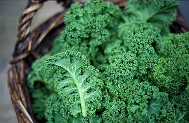 Ragged Jack Heirloom Kale Seeds