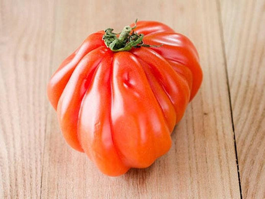Costoluto Genovese Heirloom Tomato Seeds