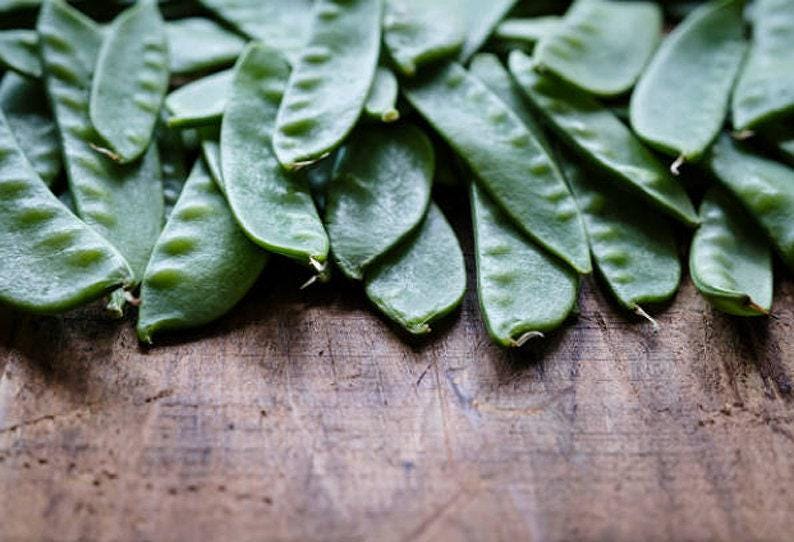 Mammoth Melting Sugar Heirloom Snow Pea Seeds