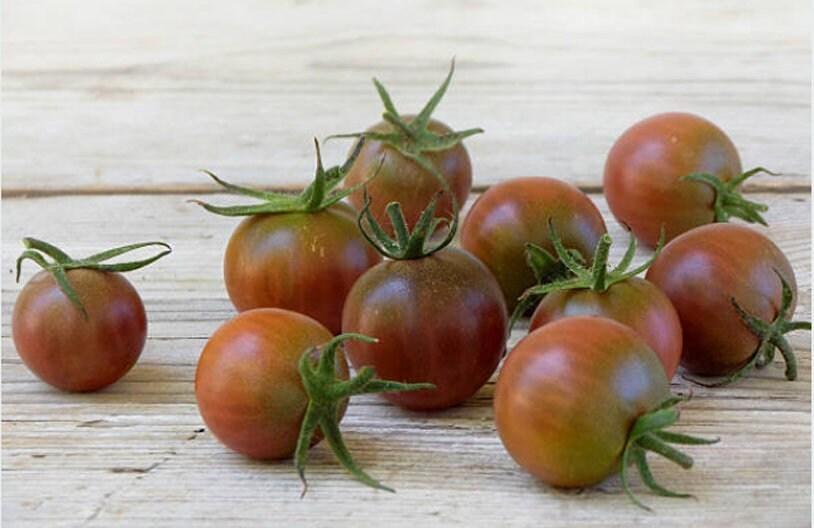 Black Cherry Heirloom Tomato Seeds