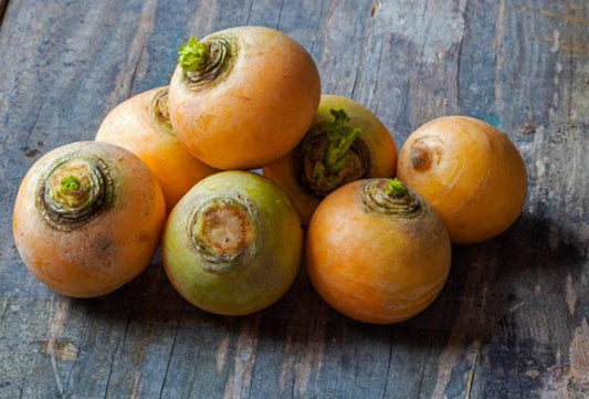 Golden Globe Heirloom Turnip Seeds