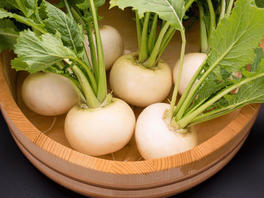 White Egg Heirloom Turnip Seeds