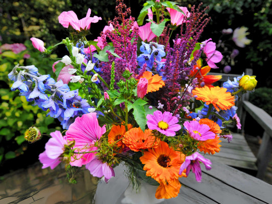 Izzie's Cut Flower Blend Heirloom Wildflower Seeds