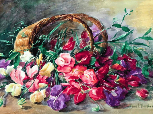 Royal Family Sweet Pea Heirloom Seeds