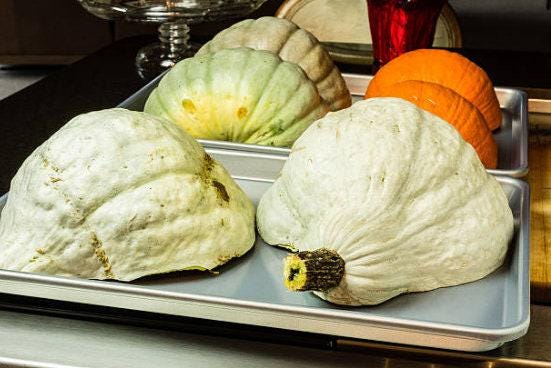 Blue Hubbard Heirloom Winter Squash Seeds