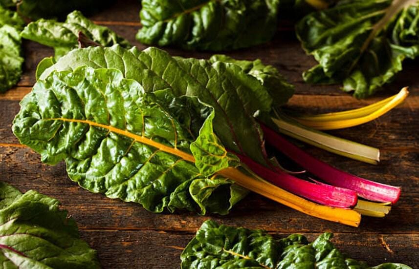 Rainbow Heirloom Swiss Chard Seeds