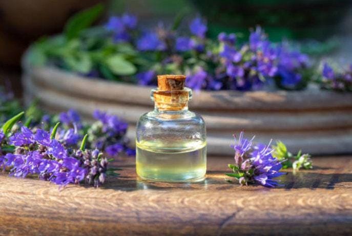 Hyssop Heirloom Seeds