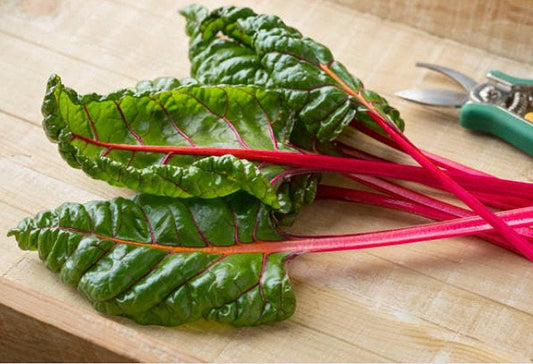 Ruby Red Heirloom Swiss Chard Seeds