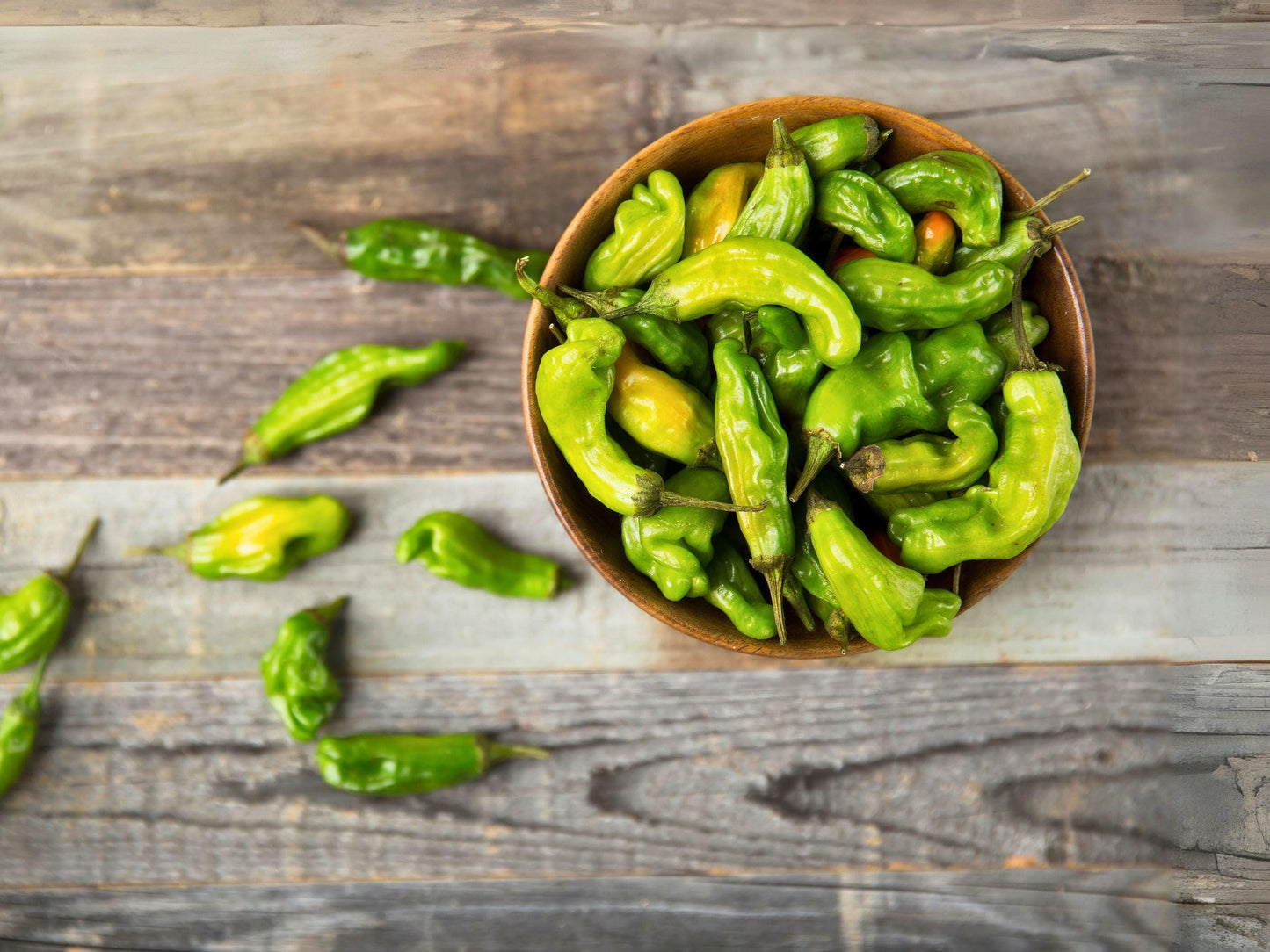 Shishito Heirloom Pepper Seeds